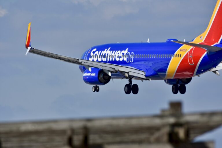 Choose Orders Southwest to Reinstate Flight Attendant Fired for Her Professional-Life Views